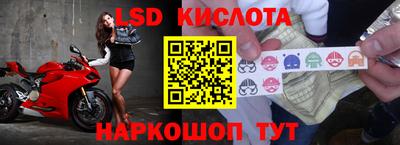 амф Обь