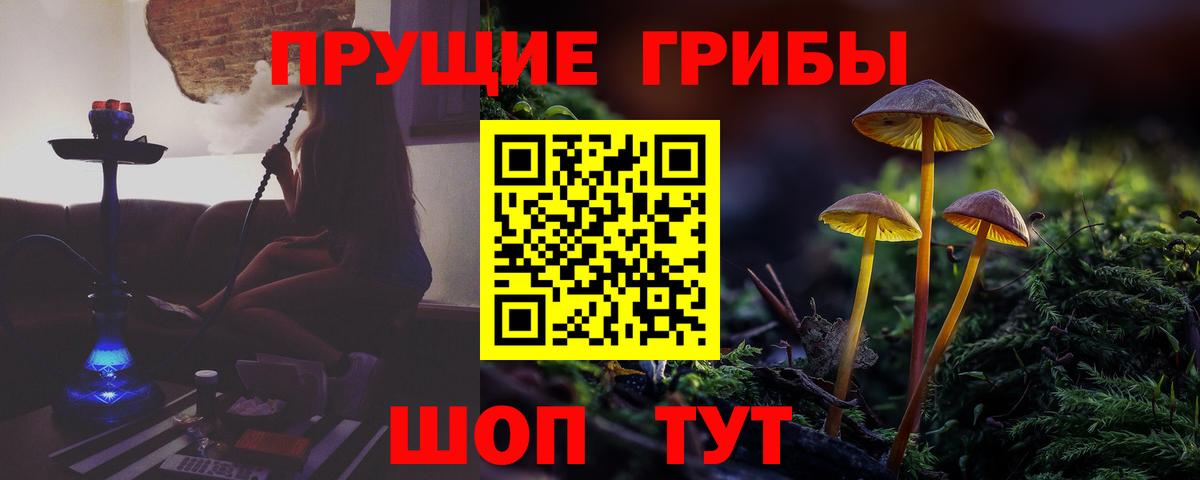 Псилоцибиновые грибы Psilocybine cubensis  хочу наркоту  Реж  Вход с VPN 
